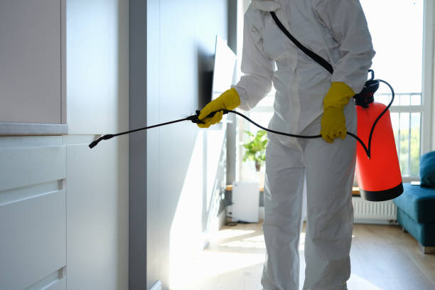 Best Commercial Mold Remediation in St Marys, WV