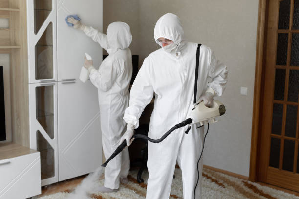 Best Industrial Mold Remediation in St Marys, WV